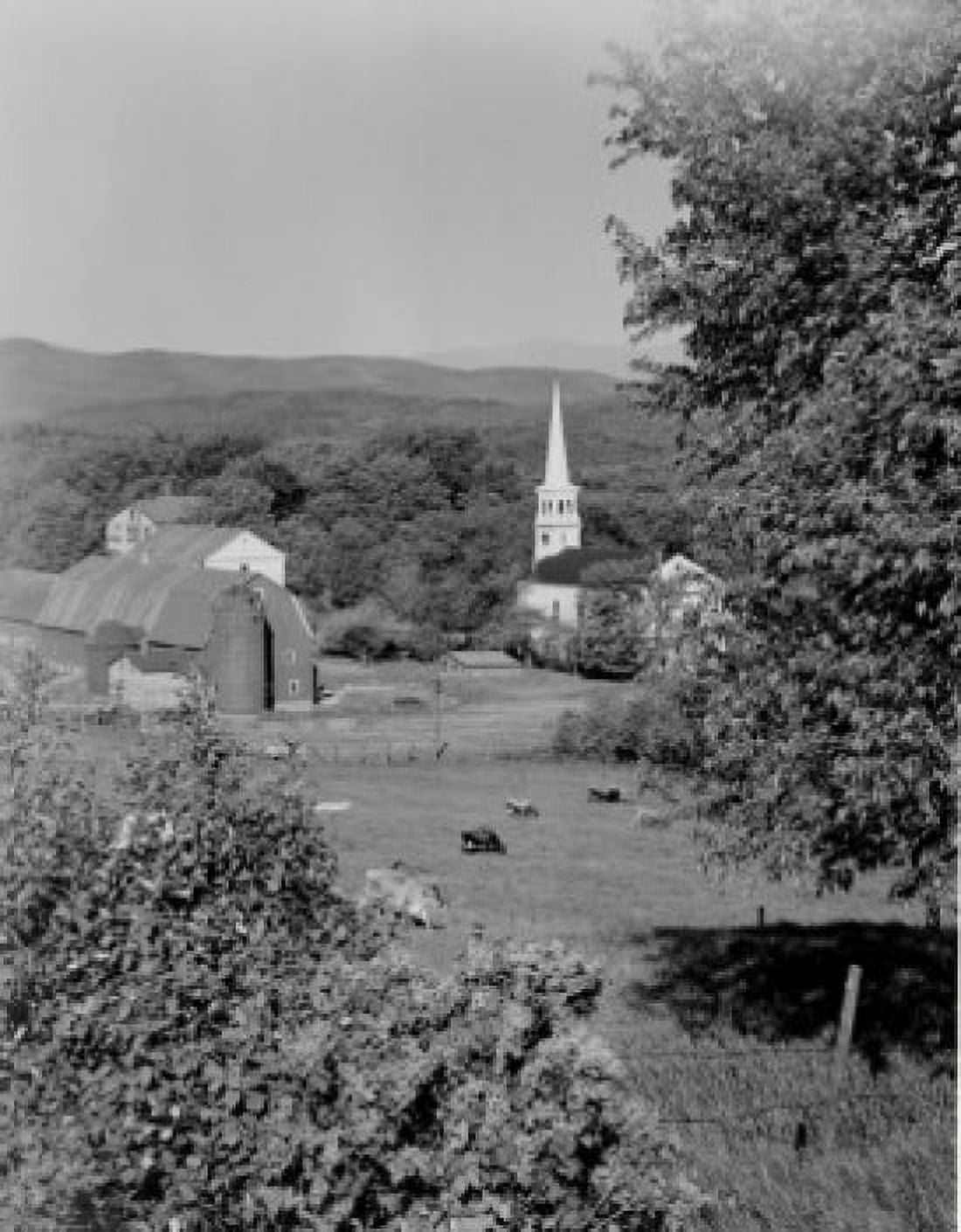 USA Vermont Peacham pastoral scene with lilacs and wild cherries in foreground Canvas Art - (24 x 36)