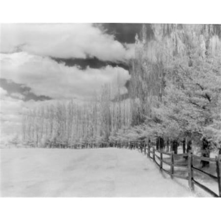 USA Vermont Snow Covered Field Poster Print - 18 x 24 in.
