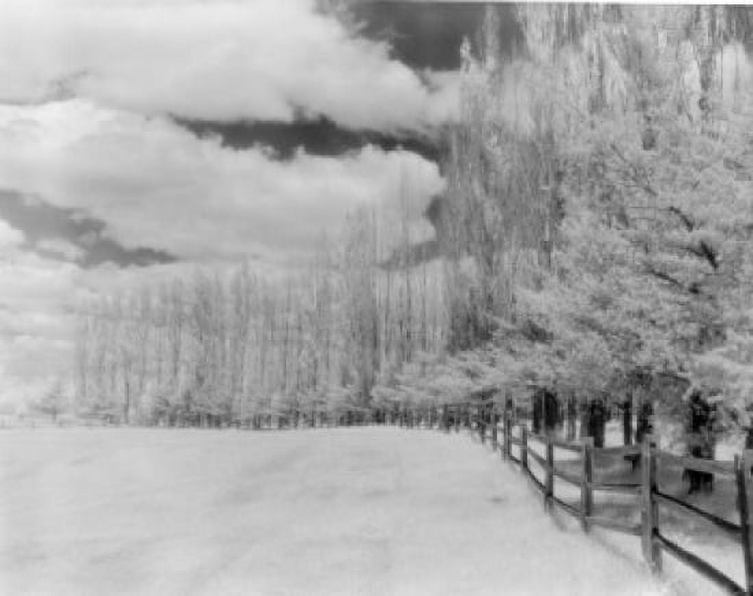 USA Vermont Snow covered field Canvas Art - (18 x 24)
