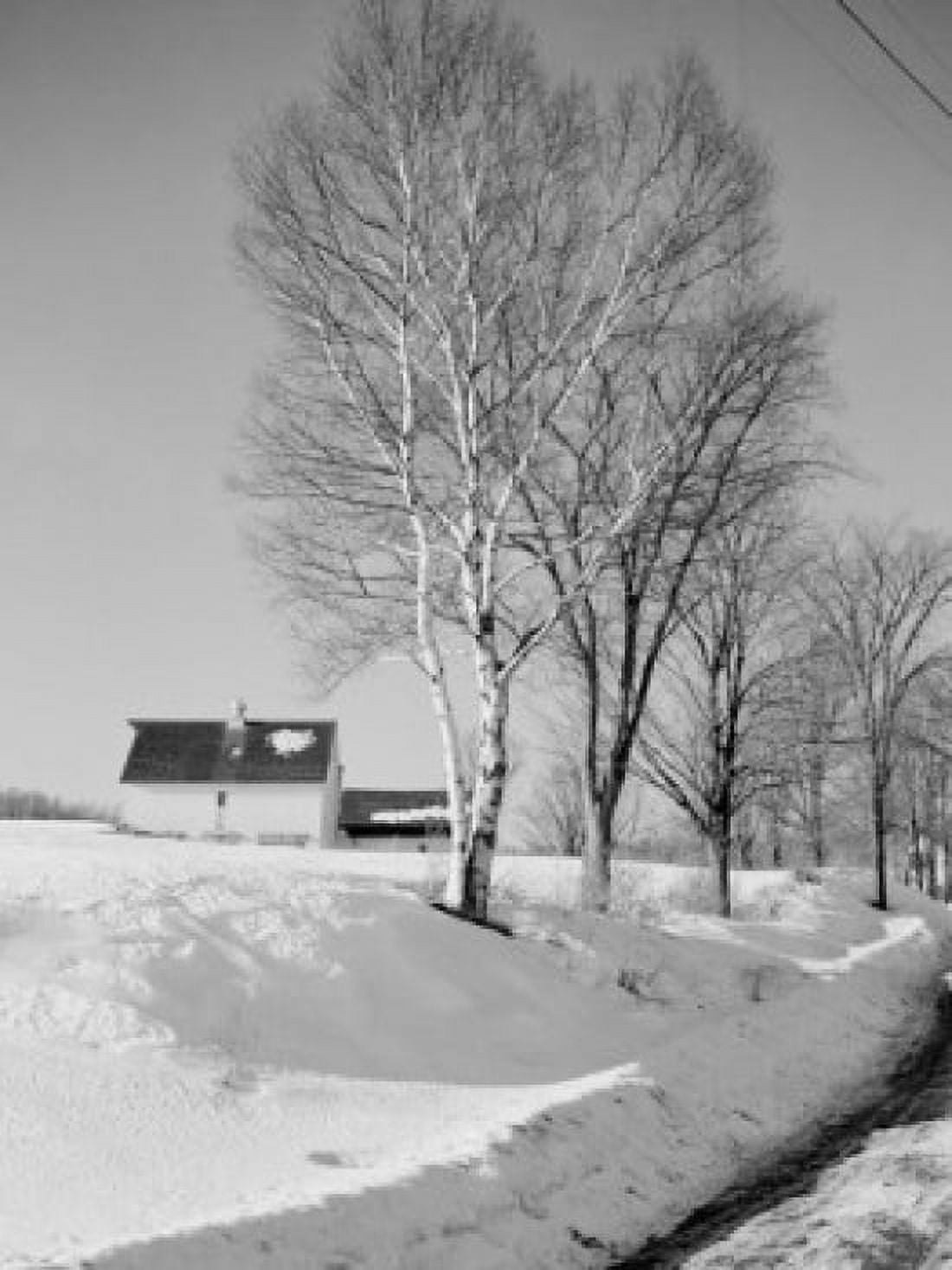 USA Vermont South Woodstock farm Canvas Art - (24 x 36)