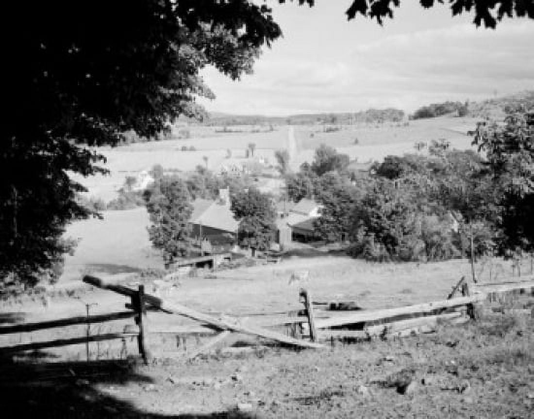 USA Vermont West Glover farm with cows Canvas Art - (24 x 36)