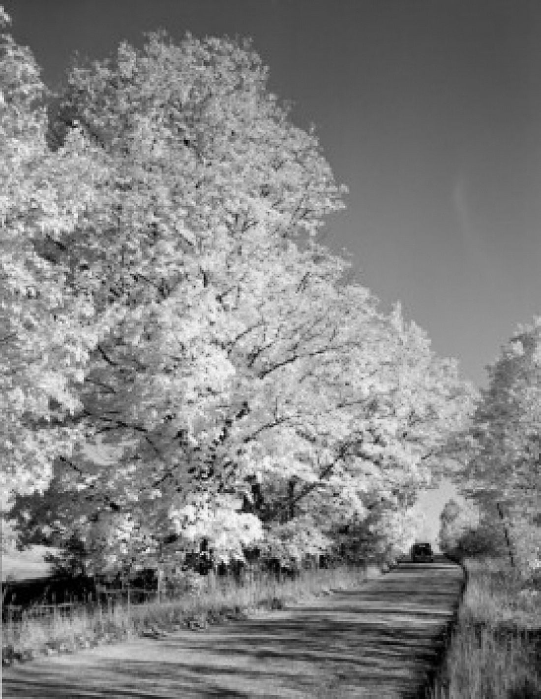 USA Vermont near Peacham autumn Canvas Art - (18 x 24)