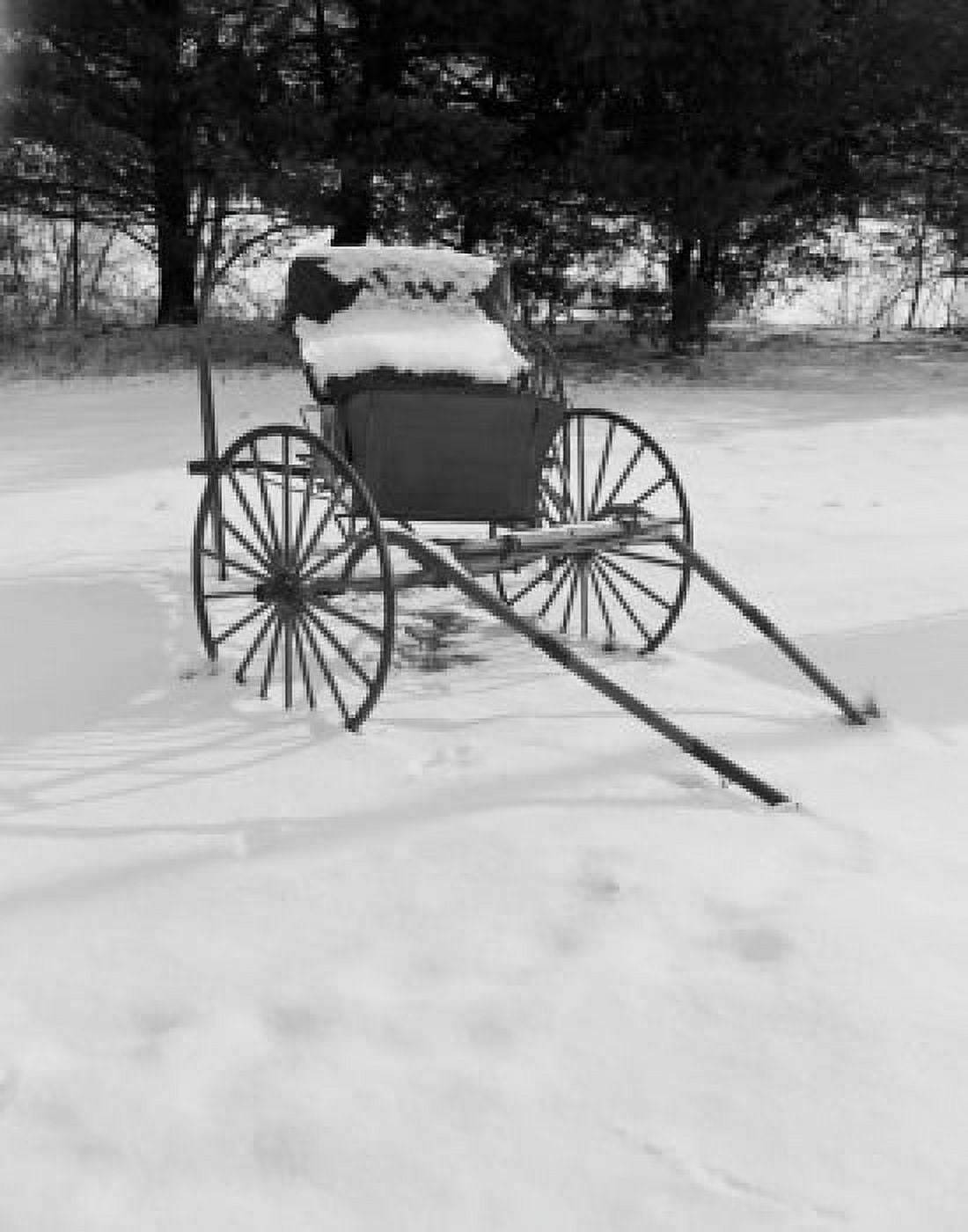 USA Vermont west of Rutland carriage in snow Canvas Art - (18 x 24)