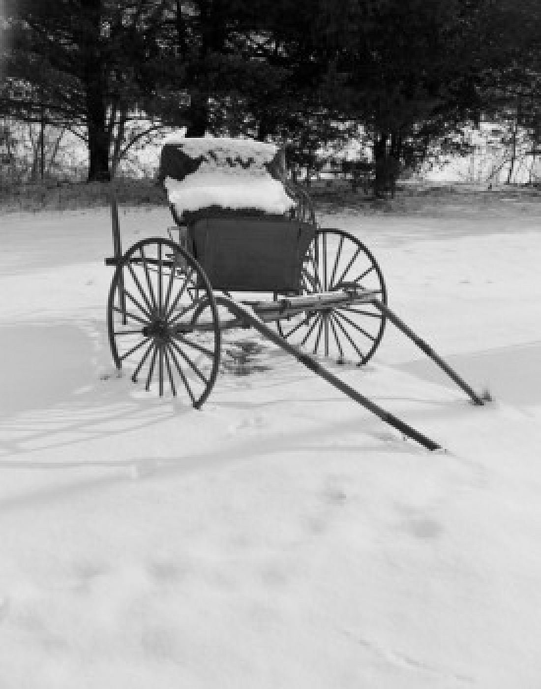 USA Vermont west of Rutland carriage in snow Canvas Art - (24 x 36)