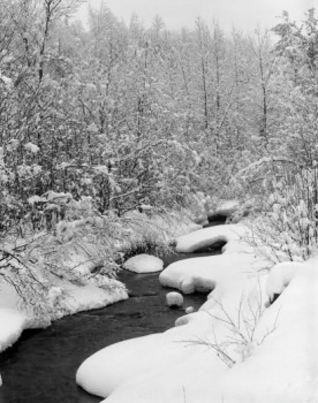 USA Vermont winter forest with flowing stream Canvas Art - (24 x 36)