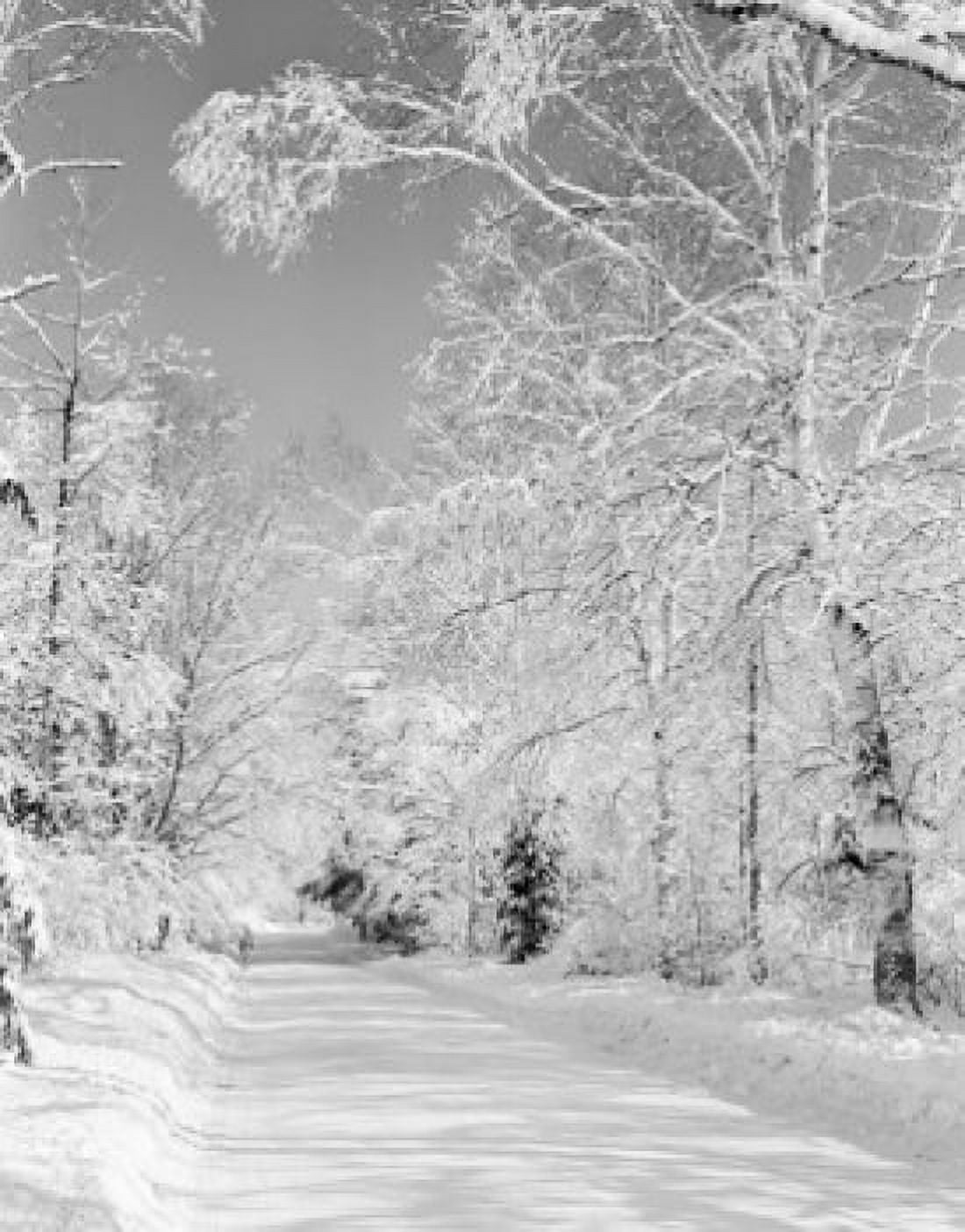 USA Vermont winter landscape with empty road Canvas Art - (24 x 36)