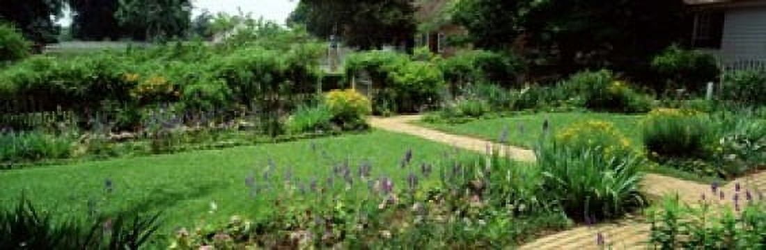 USA Virginia Williamsburg colonial garden Canvas Art - Panoramic Images (18 x 6)