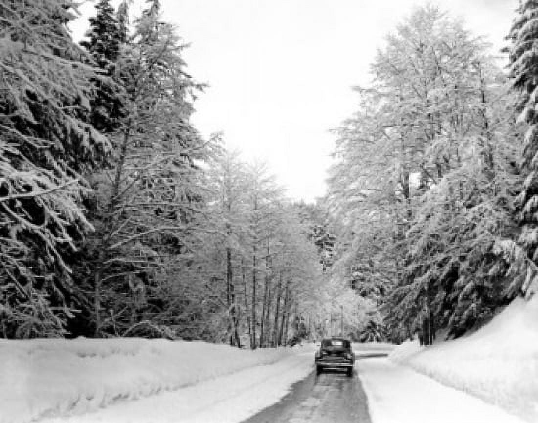 USA Washington Cascade Mountains highway after heavy snow Canvas Art - (24 x 36)