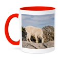 thumbnail image 1 of 3dRose, USA, Washington, Cascade Range, Upper Enchantments, Mountain goat ewe., 11oz Two-Tone Red Mug, 1 of 3