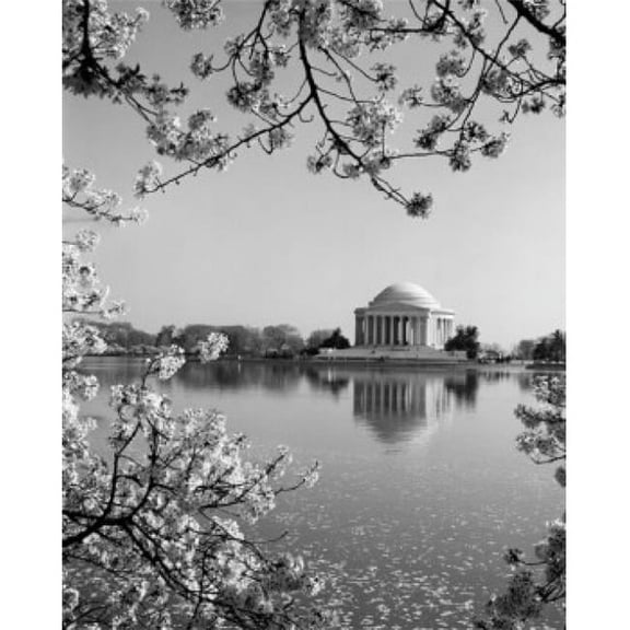 USA Washington D.C. The Jefferson Memorial Framed by Cherry Blossoms Across The Tidal Basin in Spring Poster Print - 18 x 24