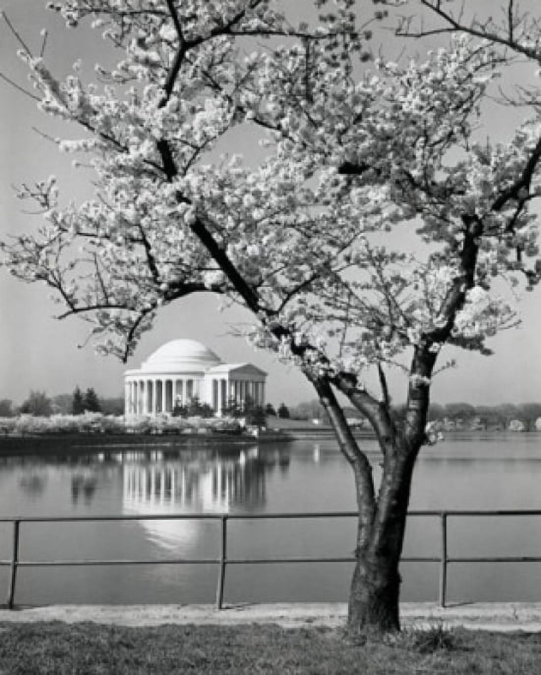 USA Washington DC Reflection of Jefferson Memorial in water Canvas Art - (24 x 36)