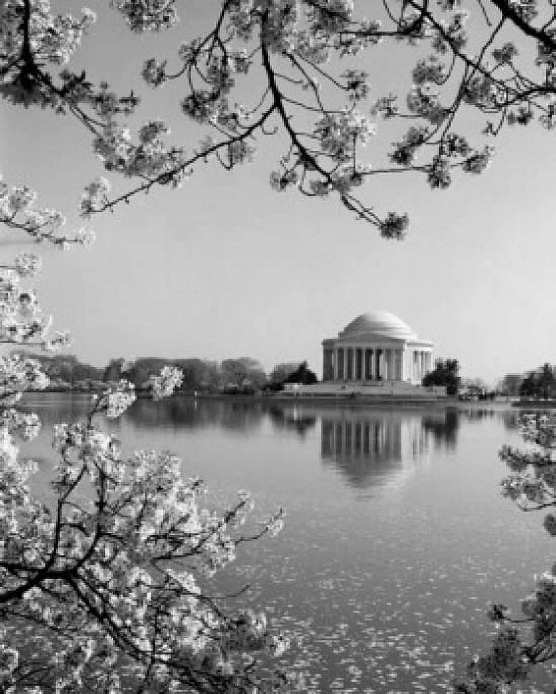 USA Washington DC The Jefferson Memorial framed by cherry blossoms across the tidal basin in spring Canvas Art - (18 x 24)