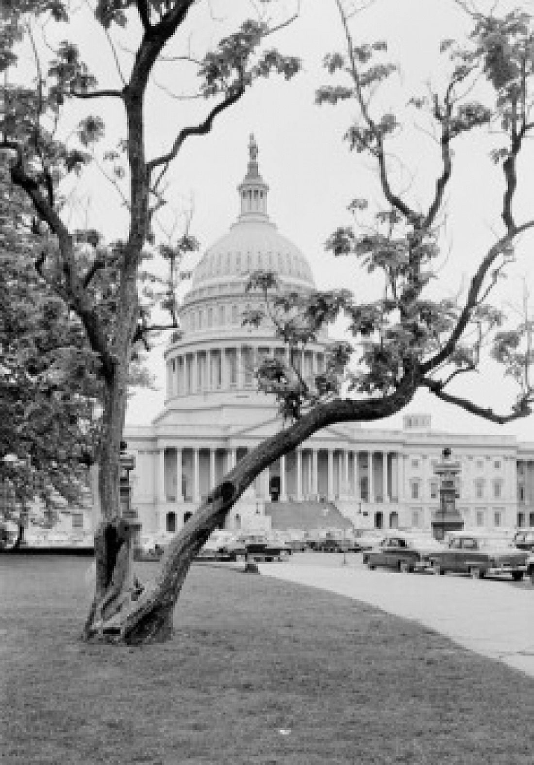 USA Washington DC US Capitol Building Canvas Art - (18 x 24)