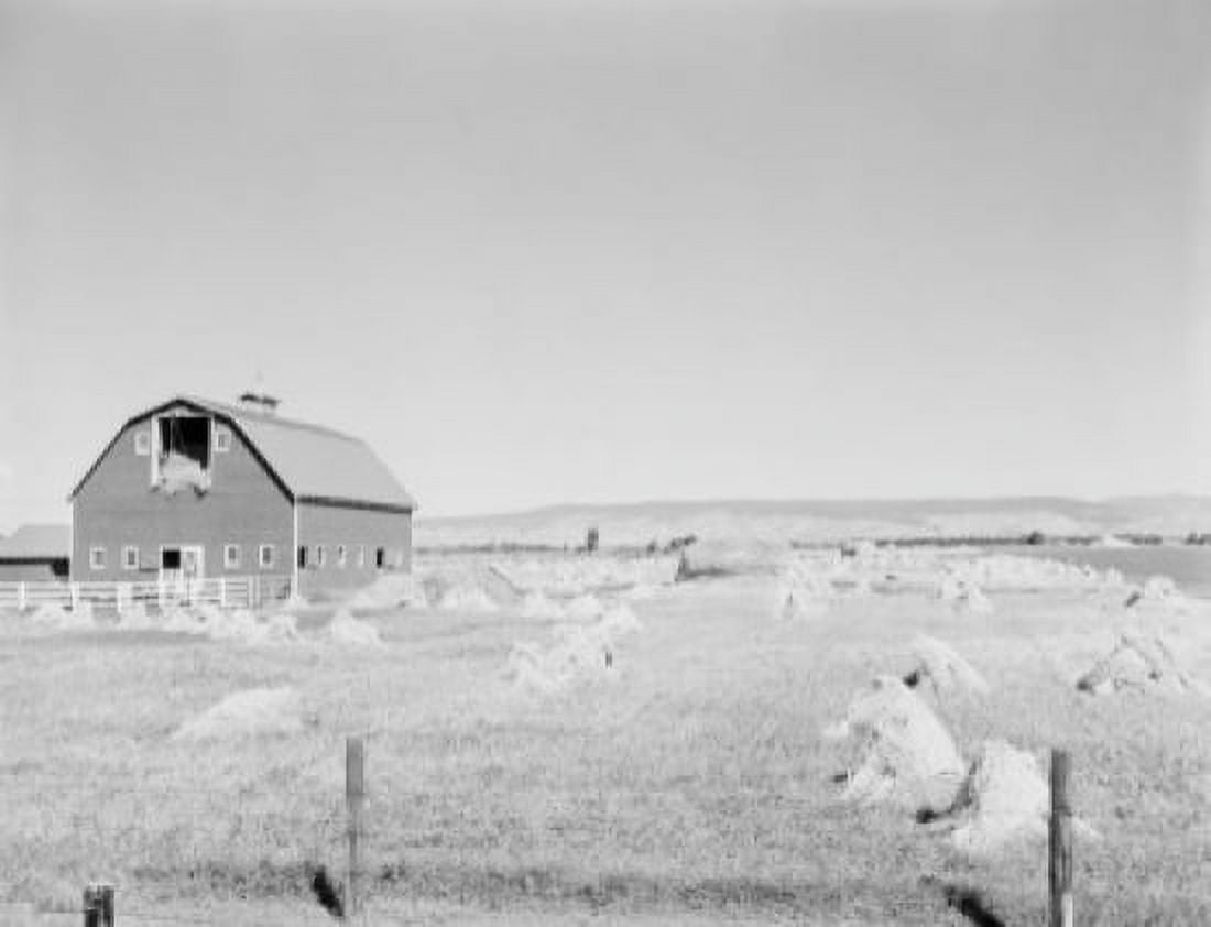 USA Washington Ellensburg red barn and oat field Canvas Art - (24 x 36)