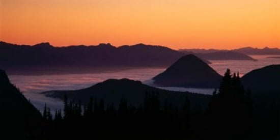 USA Washington Mount Rainier National Park Canvas Art - Panoramic Images (24 x 12)
