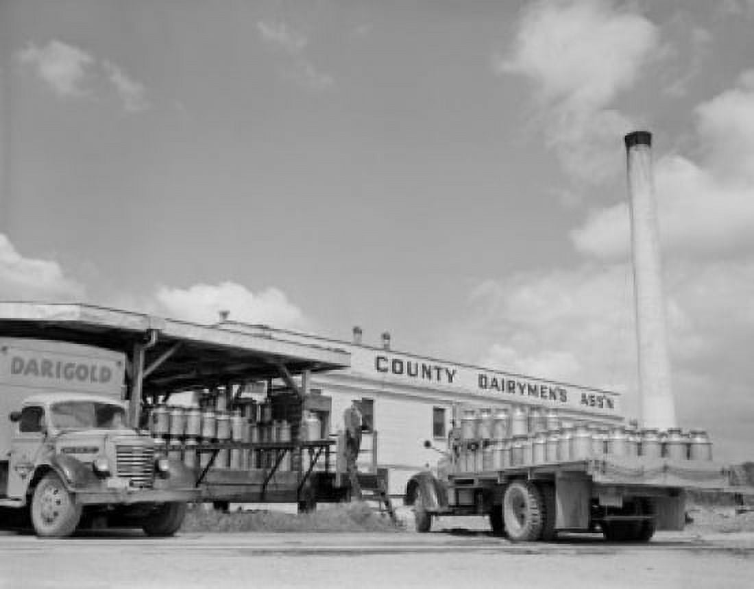 USA Washington Mount Vernon Skagit milk plants with milk cans on trucks Canvas Art - (18 x 24)