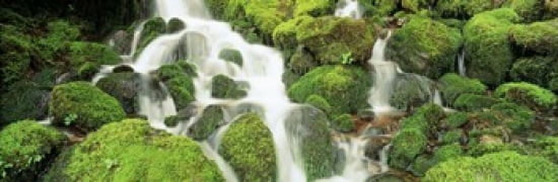 USA Washington Olympic National Park Canvas Art - Panoramic Images (18 x 6)