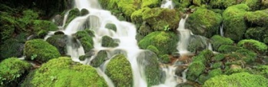 USA Washington Olympic National Park Canvas Art - Panoramic Images (36 x 12)