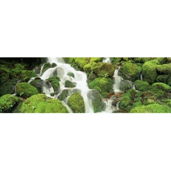 USA Washington Olympic National Park Poster Print by - 36 x 12