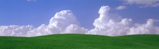 USA Washington Palouse wheat and clouds Canvas Art - Panoramic Images (36 x 12)