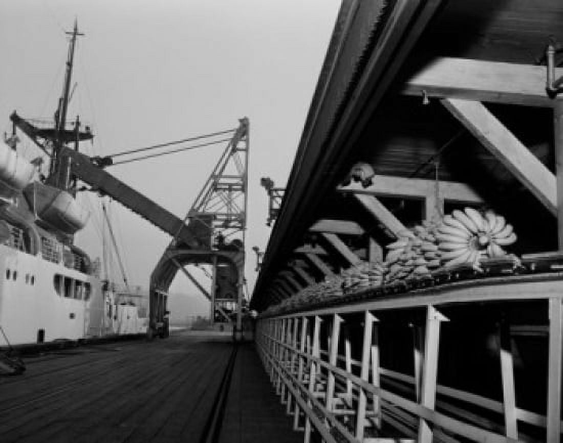 USA Washington Seattle banana ship unloading Canvas Art - (24 x 36)