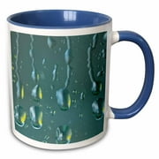 USA, Washington State, Seabeck. Raindrops on a window. 11oz Two-Tone Blue Mug mug-231685-6