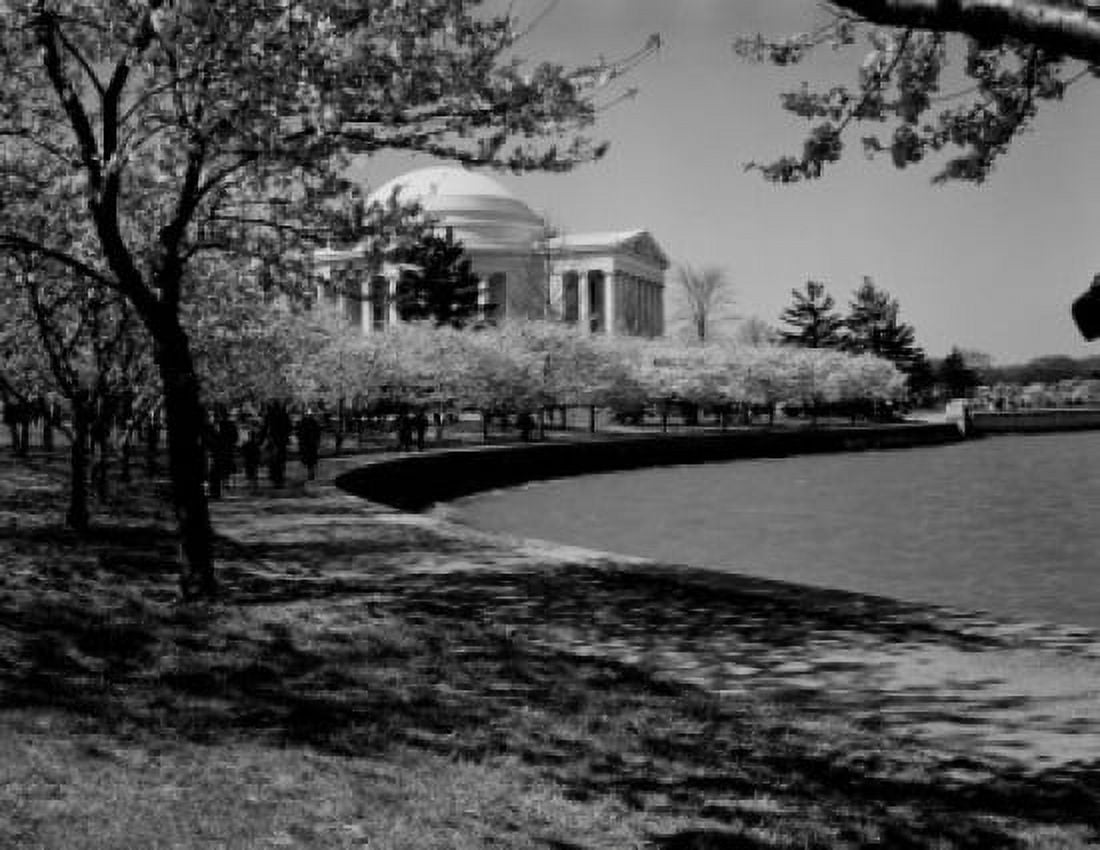 USA Washington State Washington DC Jefferson Memorial and cherry trees in blossom Canvas Art - (18 x 24)