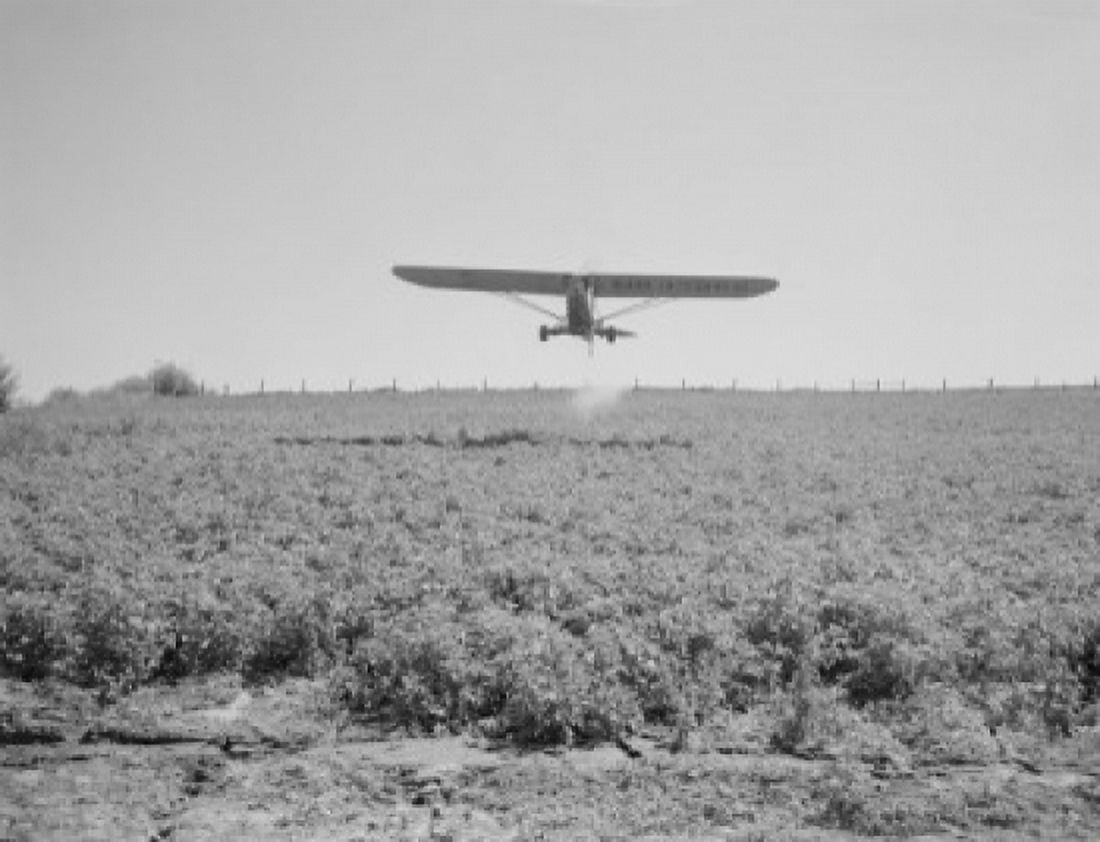 USA Washington Yakima potato dusting by plane Canvas Art - (24 x 36)