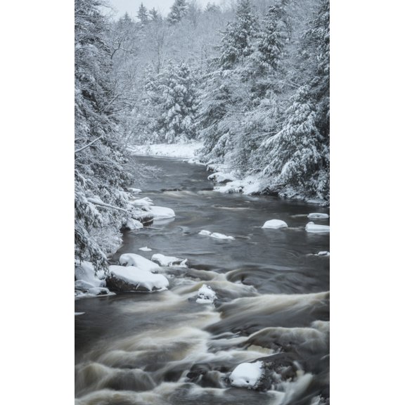 USA West Virginia Blackwater Falls State Park. Forest and stream in winter. Poster Print by Jaynes Gallery