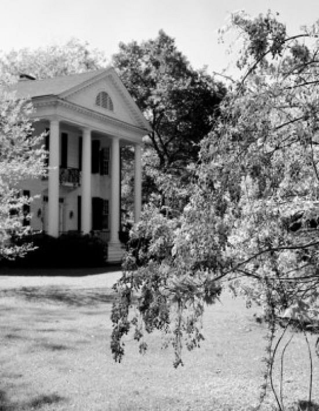 USA Wisteria blossom with house in the background Canvas Art - (24 x 36)