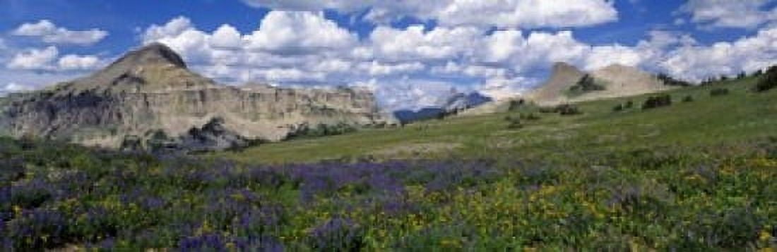 USA Wyoming Grand Teton Park Canvas Art - Panoramic Images (18 x 6)