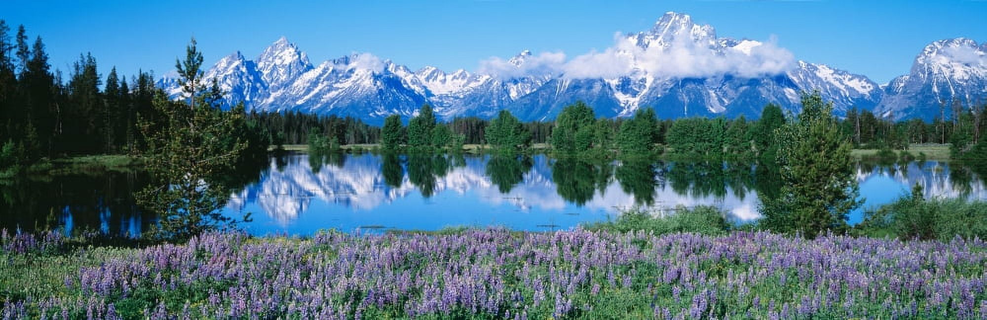 USA Wyoming Grand Teton Park Canvas Art - Panoramic Images (27 x 9)