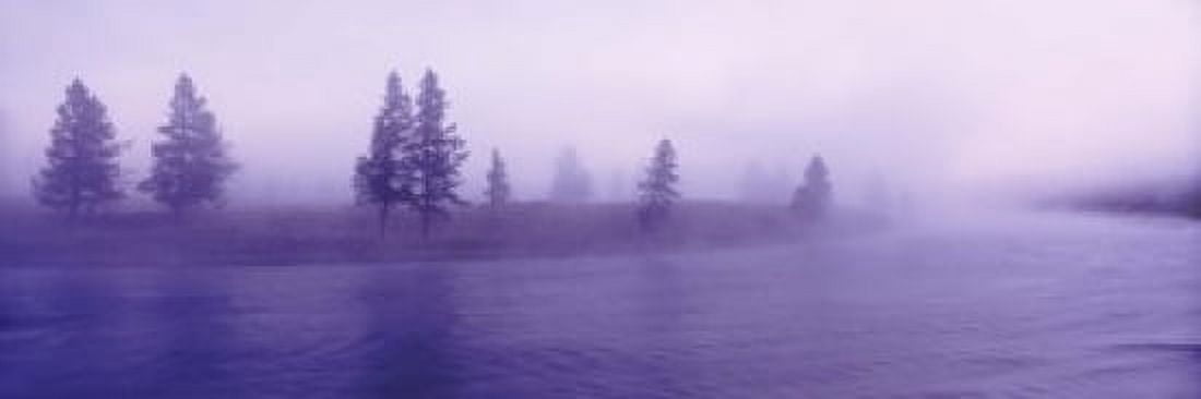 USA Wyoming View of trees lining a misty river Canvas Art - Panoramic Images (18 x 6)