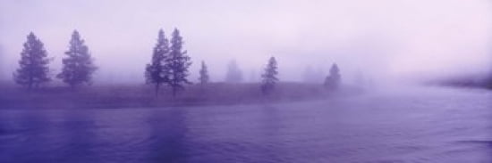 USA Wyoming View of trees lining a misty river Canvas Art - Panoramic Images (36 x 12)