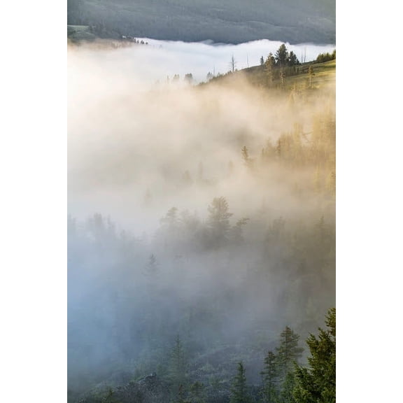 USA, Wyoming, Yellowstone National Park Mist envelopes the Yellowstone River canyon near Tower Falls Credit as: Don Grall / Jaynes Gallery Poster Print by Jaynes Gallery (18 x 24) # US51BJY0270