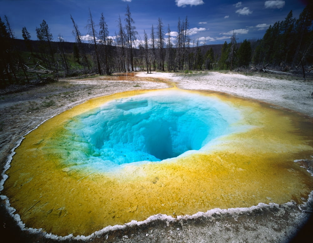 USA Wyoming Yellowstone National Park Morning Glory Pool Thermal pool in the park Canvas Art - Panoramic Images (36 x 12)