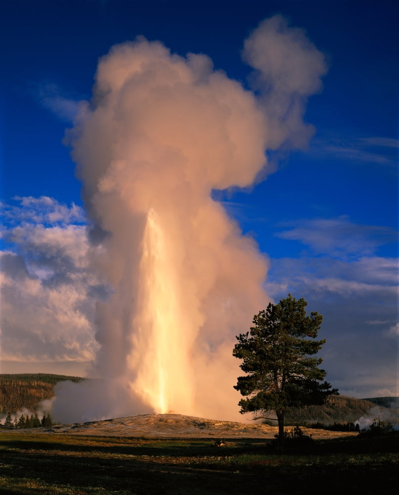 USA Wyoming Yellowstone National Park Old Faithful Steam and water erupting from thermal pool Canvas Art - Panoramic Images (28 x 22)