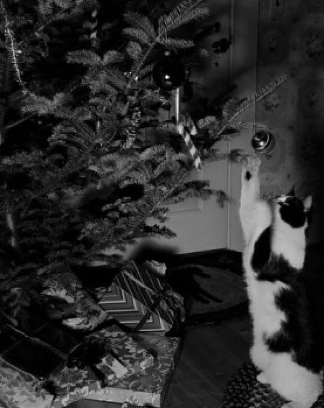USA cat playing with ball on Christmas tree Canvas Art -  (24 x 36)