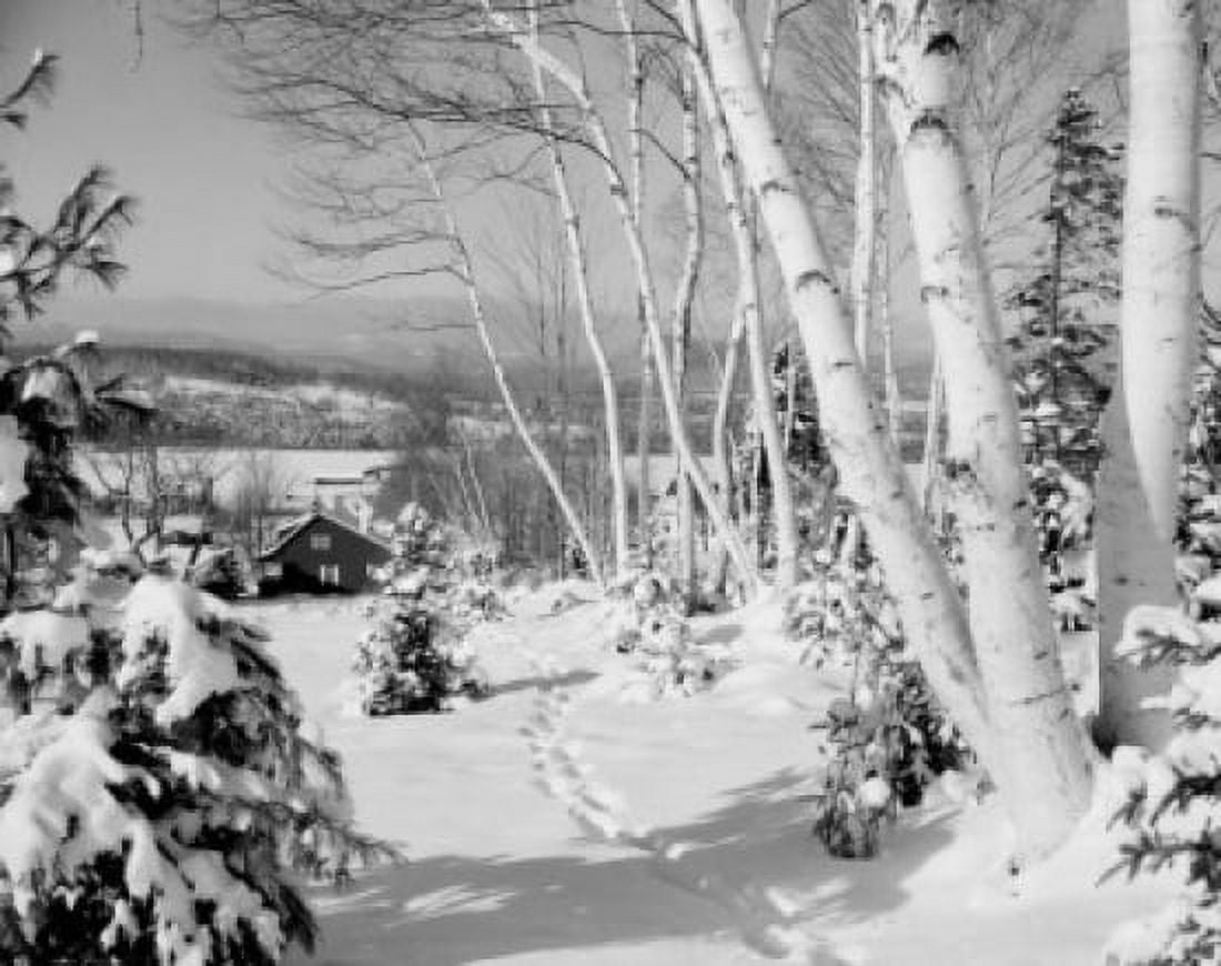 USA footprints in snow and winter farm Canvas Art - (18 x 24)