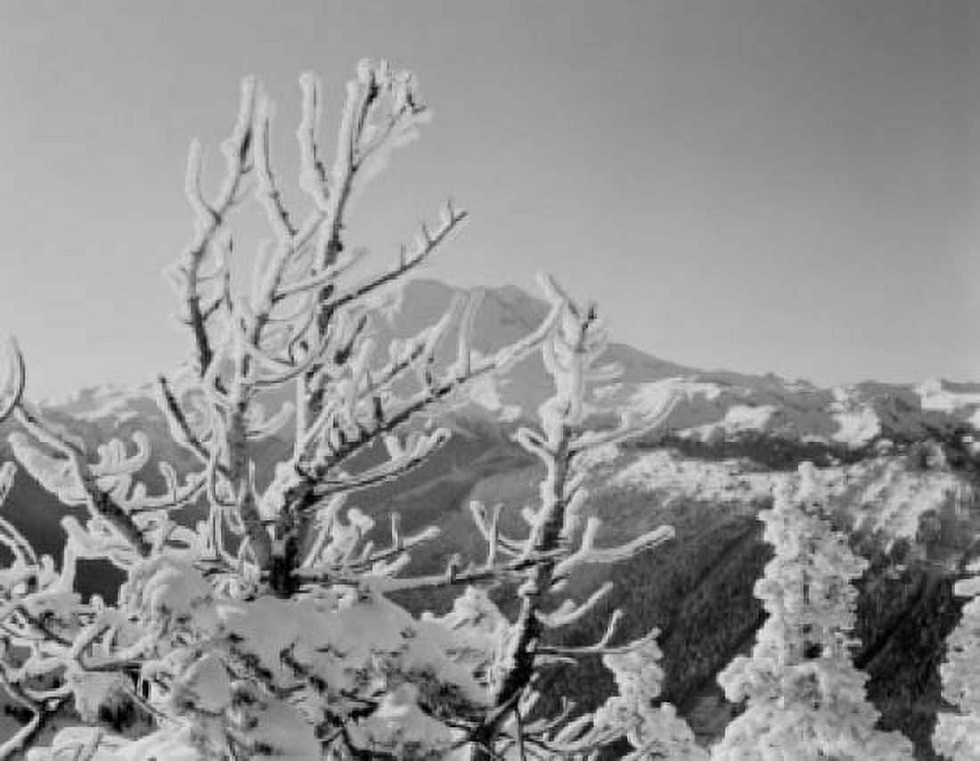 USA winter scene with Mount Ranier in background Canvas Art - (24 x 36)