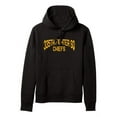 thumbnail image 1 of USAF US Air Force 335th Fighter Squadron Chiefs Pullover Hoodie, 1 of 1