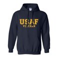 thumbnail image 1 of USAF Veteran GOLD logo Hooded Sweatshirt, 1 of 3