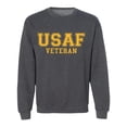 thumbnail image 1 of USAF Veteran Gold logo Military Style Physical Training Crewneck Sweatshirt, 1 of 3