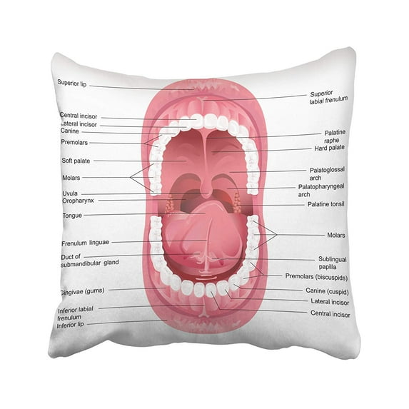 USART 20” x 20” Multicolor Soft Printed Polyester Decorative Pillow Covers, Open Zipper, Comfortable