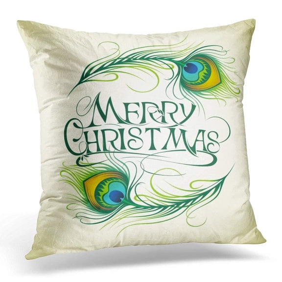 USART Colorful Abstract Beautiful Peacock Feathers Green Animal Pillow Case Pillow Cover 20x20 inch