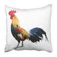 thumbnail image 1 of USART Colorful Animal Thai Red Rooster on White Farm Cock Chicken Wild Bird Beautiful Pillowcase Cushion Cover 16x16 inch, 1 of 1