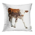 thumbnail image 1 of USART Cow Front View Brown Calf White Baby Agriculture Animal Baby Baby Cow Beef Pillowcase Cushion Cover 16x16 inch, 1 of 1