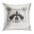 thumbnail image 1 of USART Gray Animal Sketch Raccoon Face in Doodle Style Engraving Design for Tattoos Racoon Pillowcase Cushion Cases 20x20 inch, 1 of 1