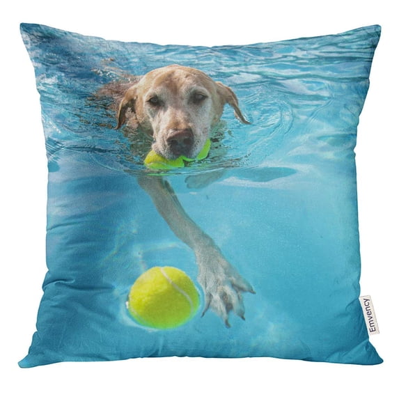 USART Yellow Labrador Dog at Local Public Pool Blue Summer Pillow Case 20x20 Inches Pillowcase
