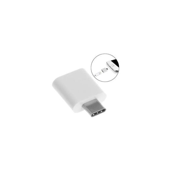 USB C Male to 8 Pin Female Adapter, White